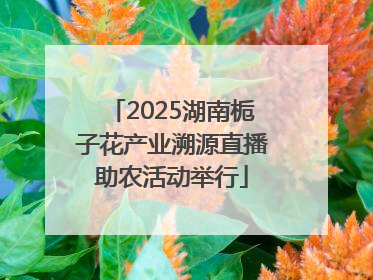 2025湖南栀子花产业溯源直播助农活动举行