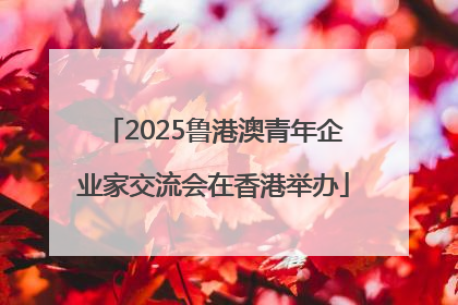 2025鲁港澳青年企业家交流会在香港举办