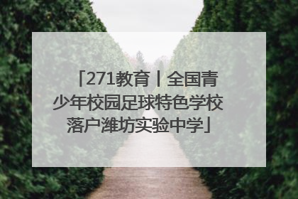 271教育丨全国青少年校园足球特色学校落户潍坊实验中学