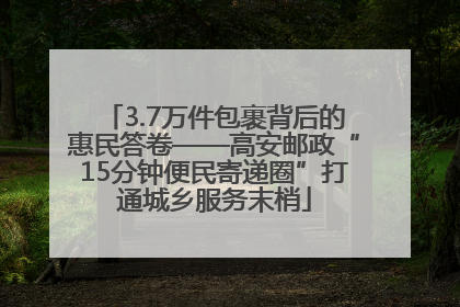 3.7万件包裹背后的惠民答卷——高安邮政“15分钟便民寄递圈”打通城乡服务末梢