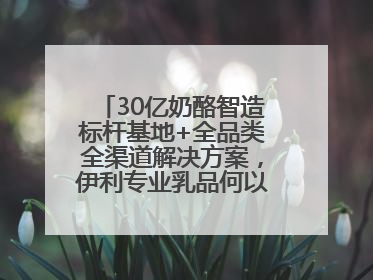 30亿奶酪智造标杆基地+全品类全渠道解决方案，伊利专业乳品何以成为 2025 焙烤展 MV