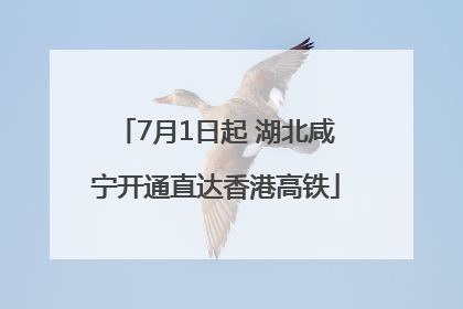 7月1日起 湖北咸宁开通直达香港高铁