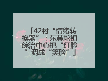 42村“情绪转换器”：东棘坨镇综治中心把“红脸”调成“笑脸”