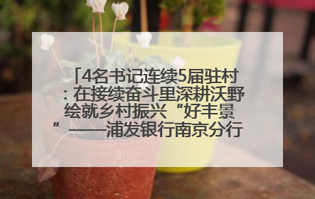 4名书记连续5届驻村：在接续奋斗里深耕沃野 绘就乡村振兴“好丰景”——浦发银行南京分行助力脱贫攻坚、帮促乡村振兴记事（二）