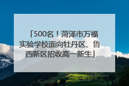 500名！菏泽市万福实验学校面向牡丹区、鲁西新区招收高一新生