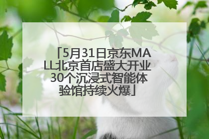 5月31日京东MALL北京首店盛大开业 30个沉浸式智能体验馆持续火爆