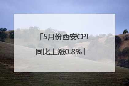 5月份西安CPI同比上涨0.8%