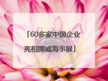 60多家中国企业亮相挪威海事展