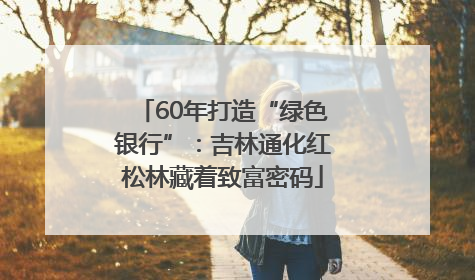 60年打造“绿色银行”：吉林通化红松林藏着致富密码