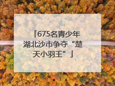 675名青少年湖北沙市争夺“楚天小羽王”