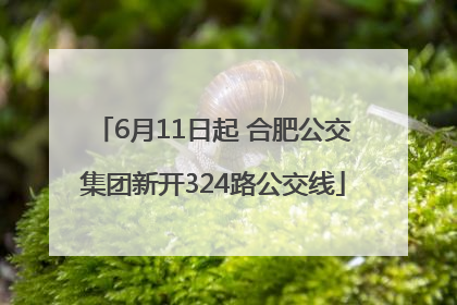 6月11日起 合肥公交集团新开324路公交线