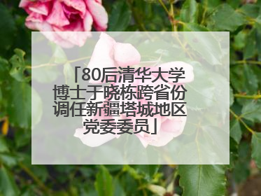 80后清华大学博士于晓栋跨省份调任新疆塔城地区党委委员