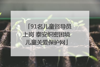 91名儿童督导员上岗 泰安织密困境儿童关爱保护网