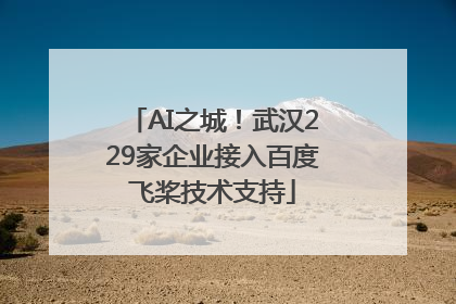 AI之城！武汉229家企业接入百度飞桨技术支持